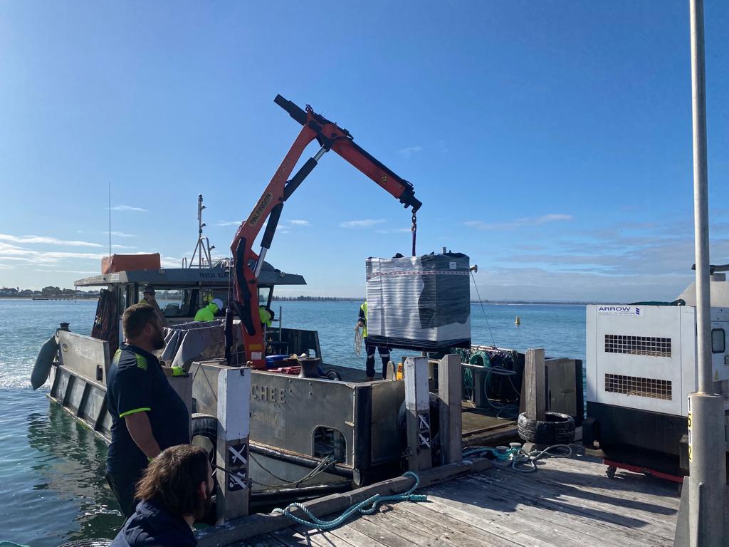 Penguin Island Generator Replacement